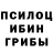 Галлюциногенные грибы Cubensis Tamer Kastor