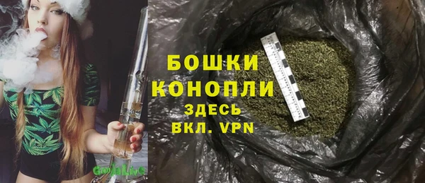дурь Алексеевка