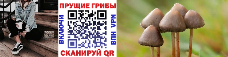 Галлюциногенные грибы Magic Shrooms Серпухов